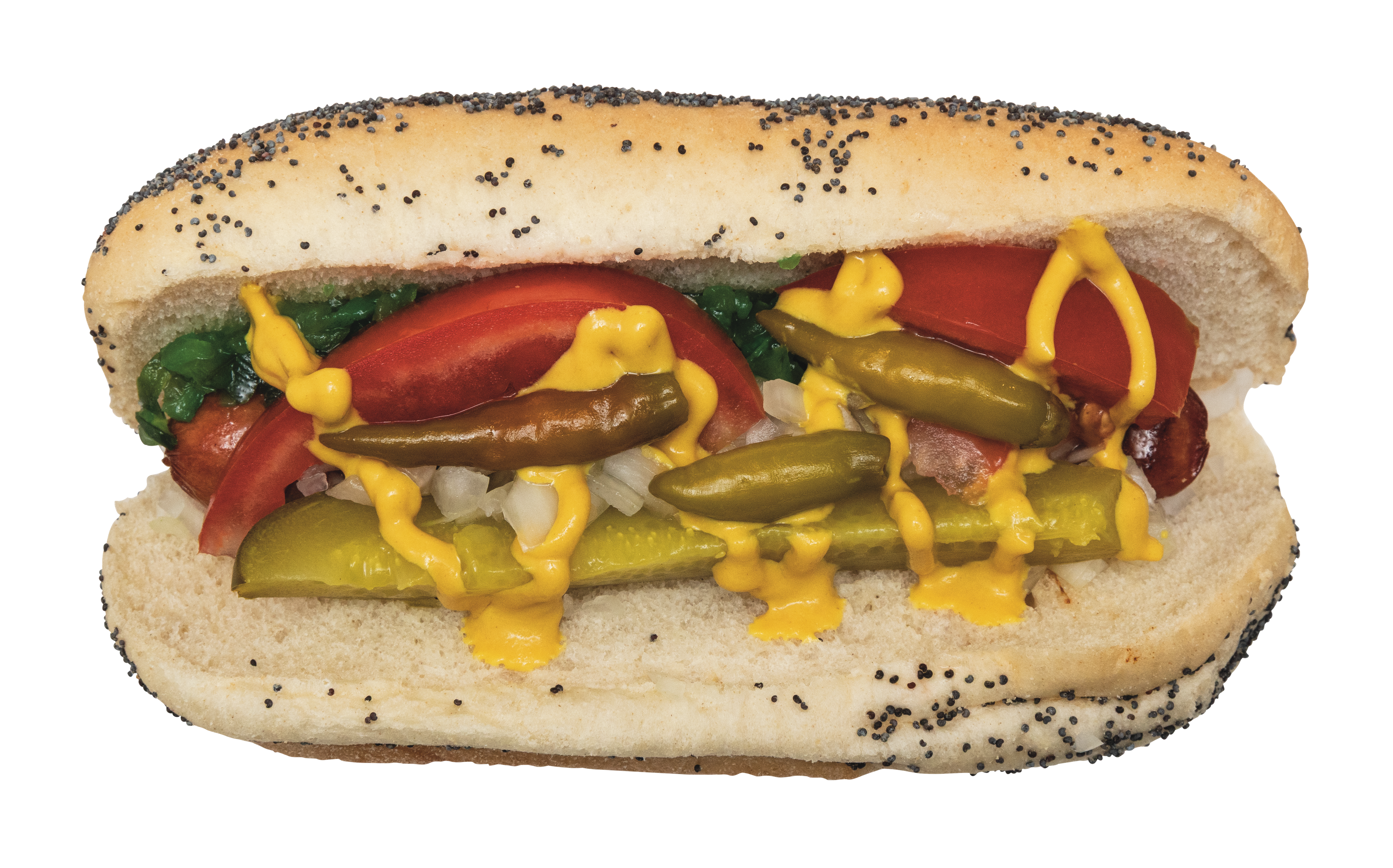 Chicago Dog